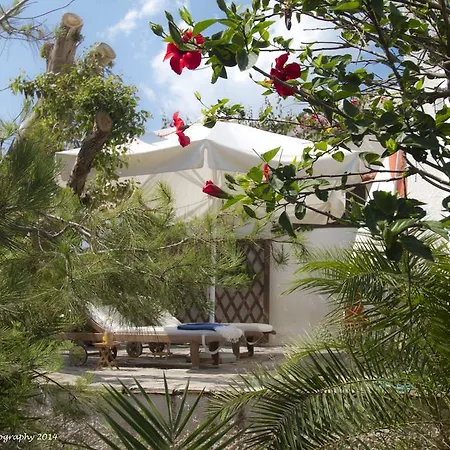 Athena Villa *